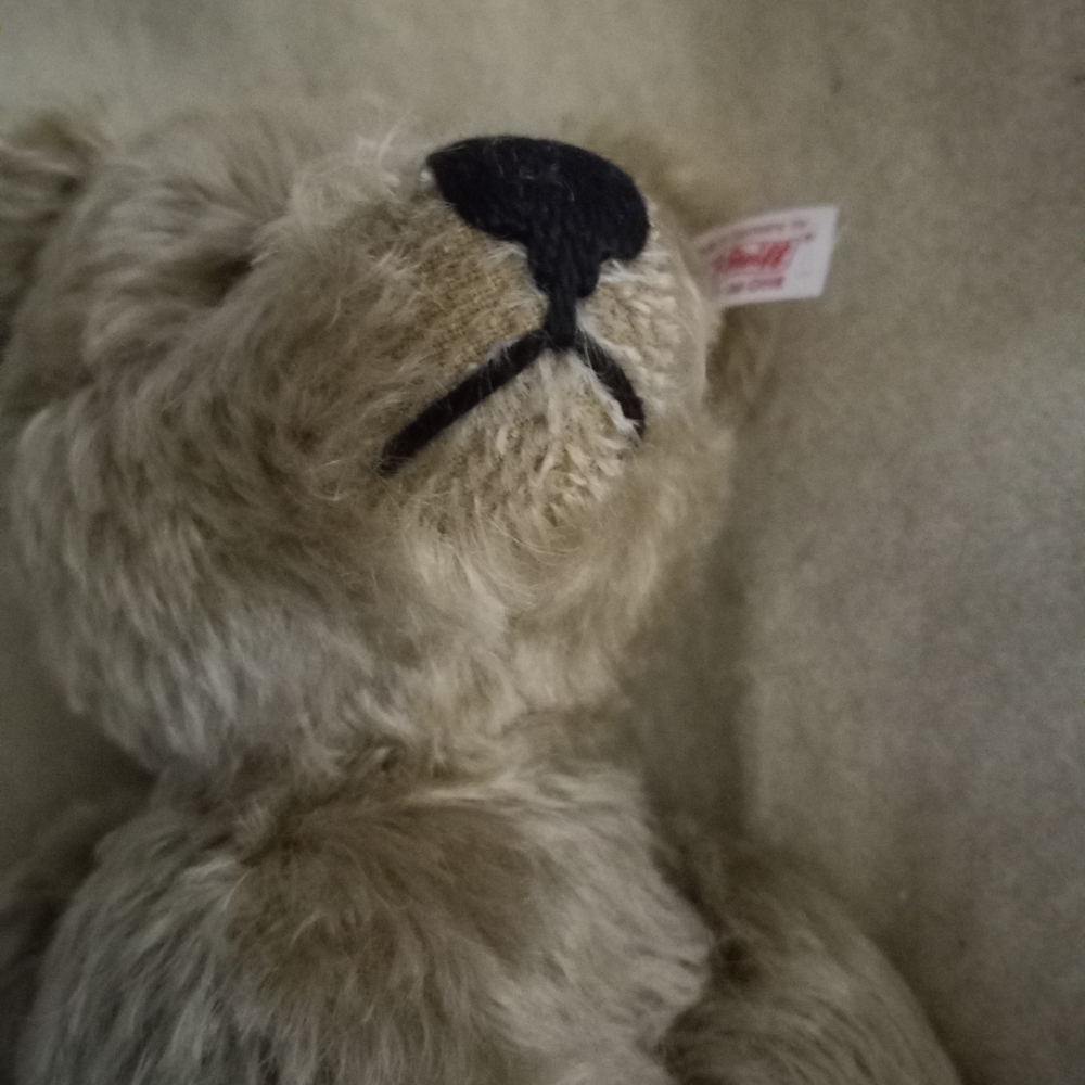 Steiff Cream Teddy Bear Authentic Tagged; Numbered - Picture 4 of 8